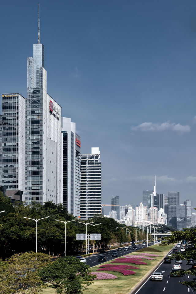 深圳·深南大道在強烈陽光照耀下的景象！