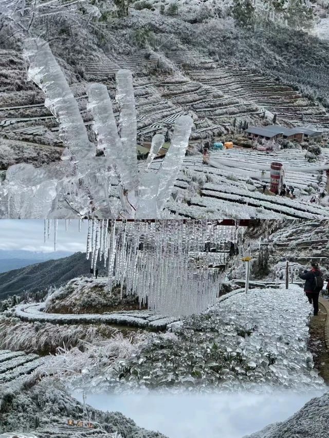 廣東也能看到雪，不是親眼目睹都不相信