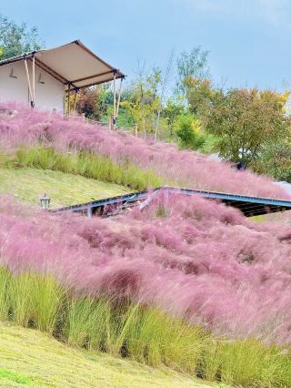A Forest Park with a Rainbow Walkway | Chengdu Hiking