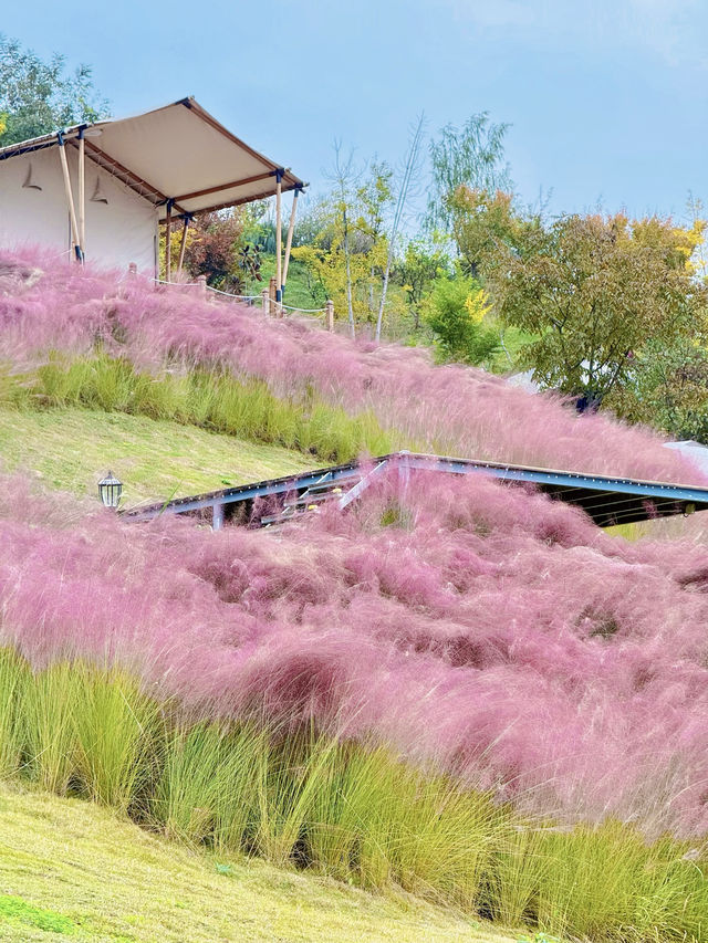 沿途都是彩虹棧道的森林公園 | 成都徒步