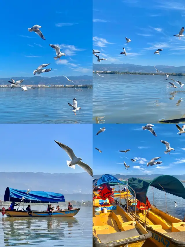 【시창】— 따뜻한 햇살이 감싸는 여행지