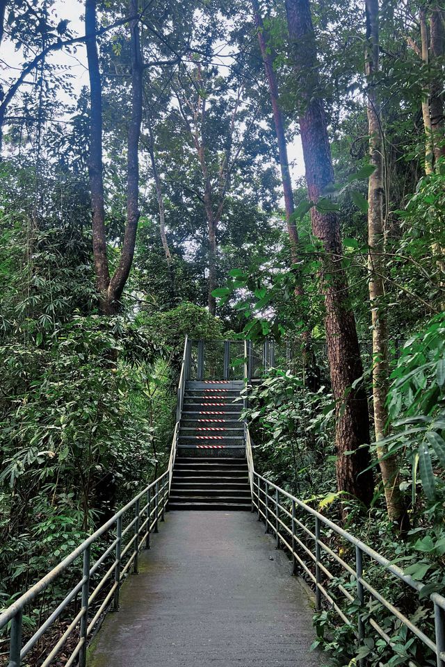 清邁親子遊 依山而建的詩麗吉皇后植物園妥妥的大氧吧