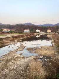 中華山鳥類省級自然保護區