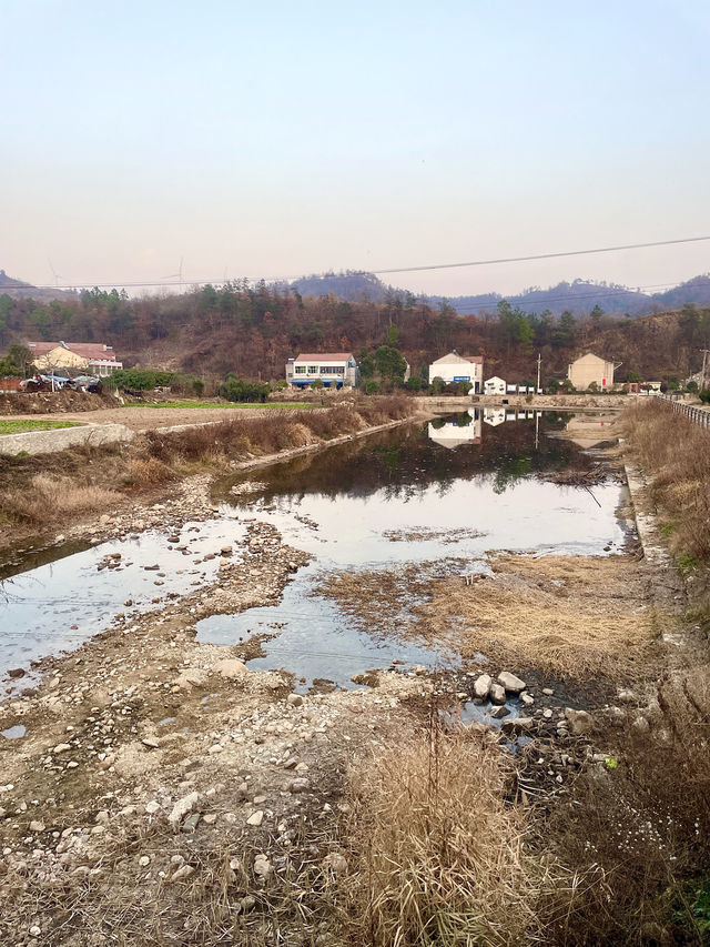 中華山鳥類省級自然保護區