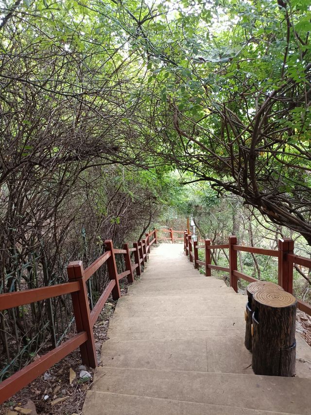 3日玩轉宜昌超詳細攻略快收藏 3日玩轉宜昌超詳細攻略快收藏