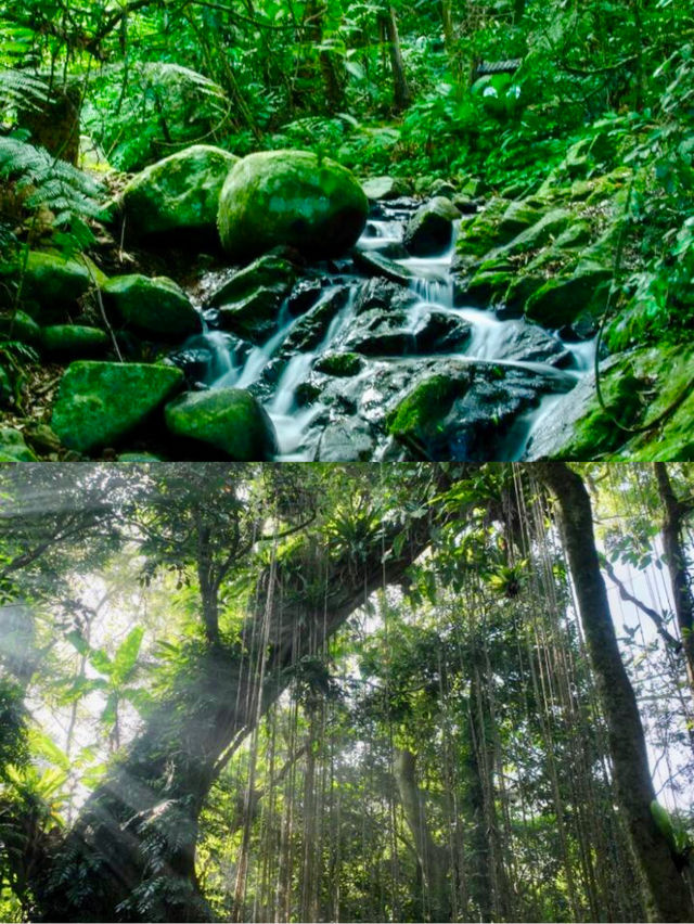 人回來了  心還留在綠野仙蹤 風景太美了