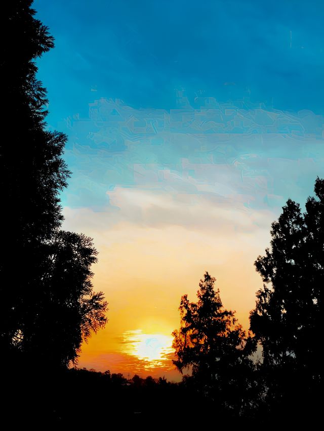 一「魯」生花（二）——山東泰山