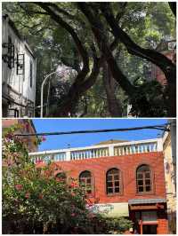 廈門之旅已完成，真的不建議1月前往