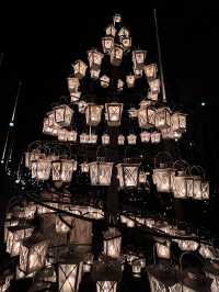 Experience the Enchanting Christmas Lights at Karuizawa's Starry Forest