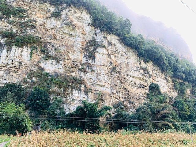 雲南滄源異域風情的地方