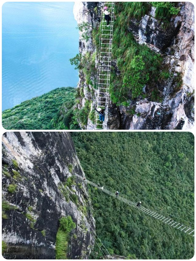 七星山飛拉達勇敢者無畏