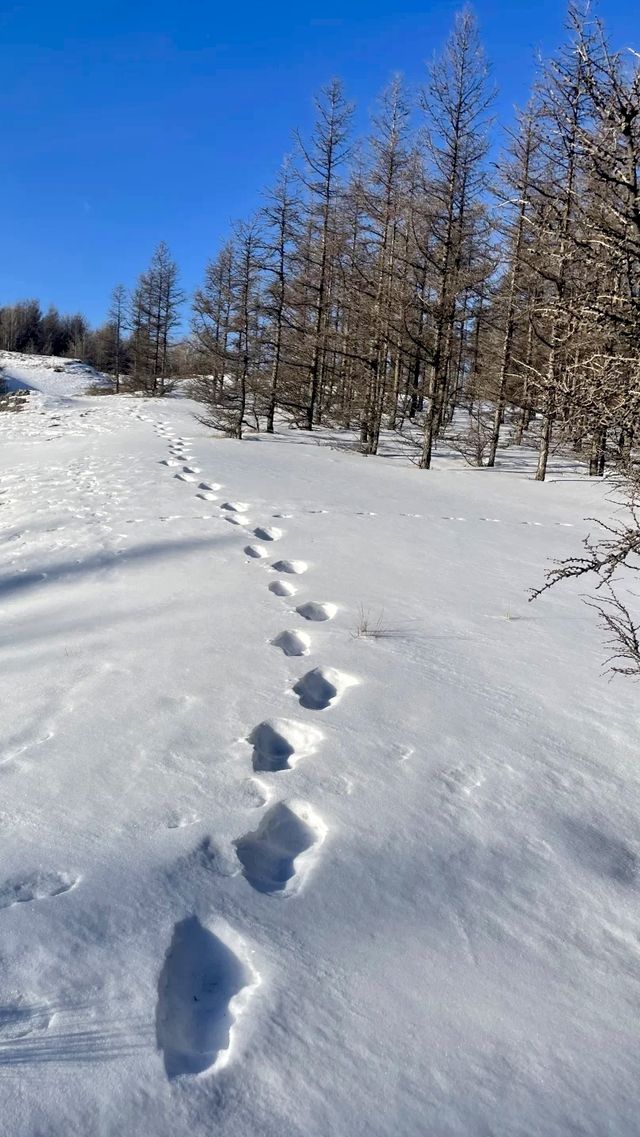 縱享青城，邂逅塞上風光