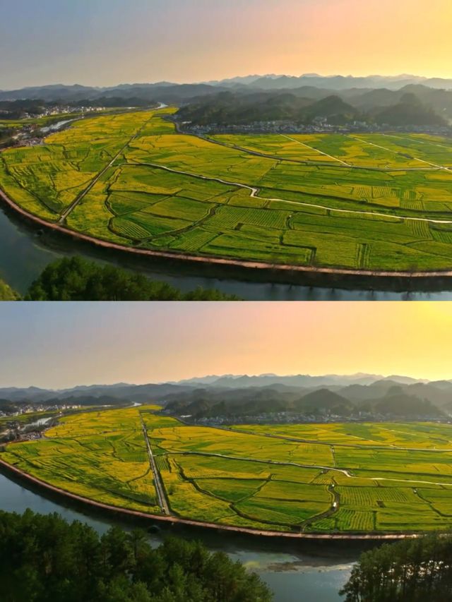 不是平坝/婺源這是離貴陽1h的賞花天堂