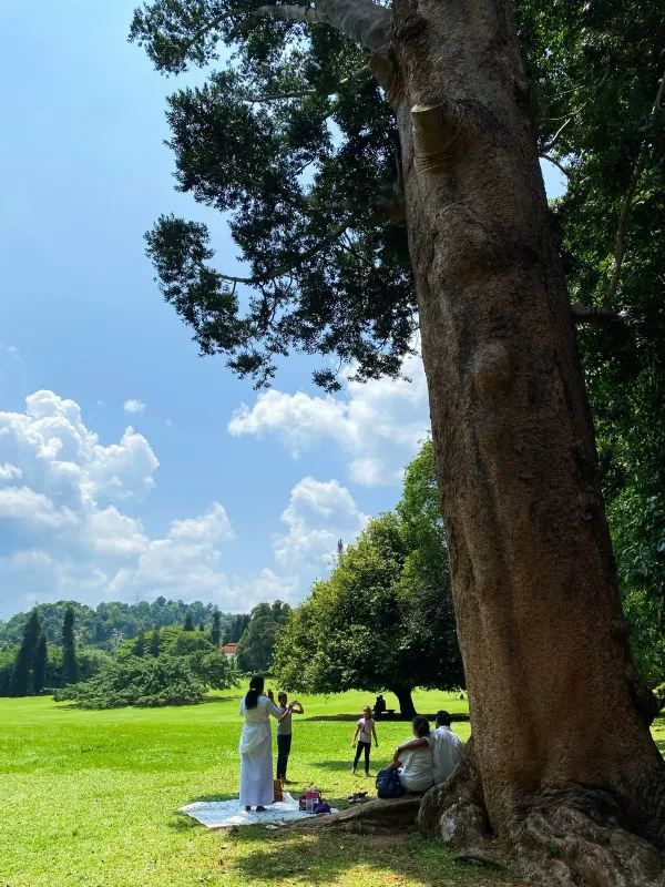 the Royal Botanical Gardens in Kandy, Sri Lanka