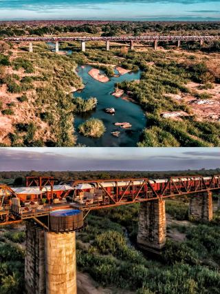 South Africa's steam train hotel: wake up to the animal kingdom