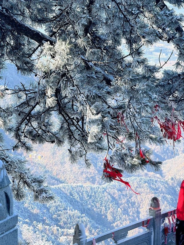 西安出發40分鐘 | 秦嶺冬日雪國秘境登高賞雪