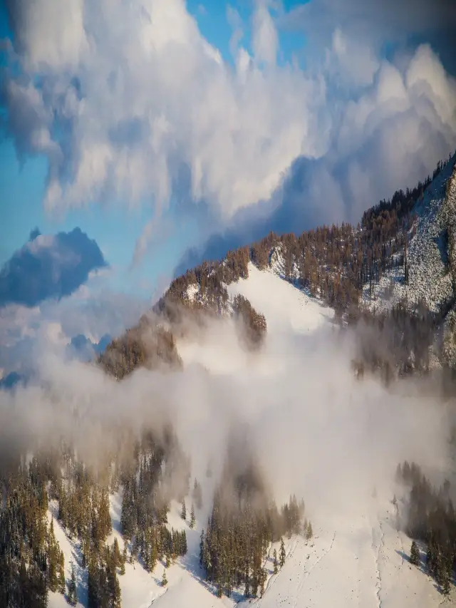 알타이 스키 여행이 더 이상 어렵지 않습니다. 가성비 최고의 코스가 왔습니다