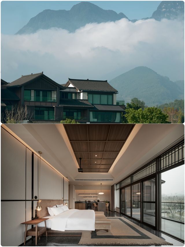 公司在這裡團建，而我只想退休