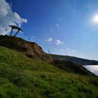 The Needles: A Journey Through Nature's Sculptures