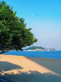 ——深圳市情侶路：醉美海景之旅