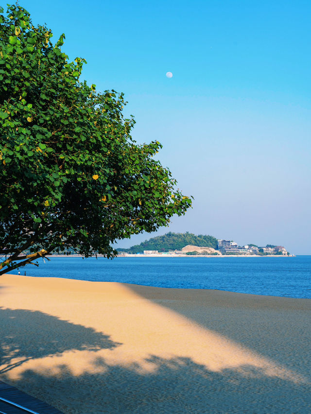 ——深圳市情侶路：醉美海景之旅