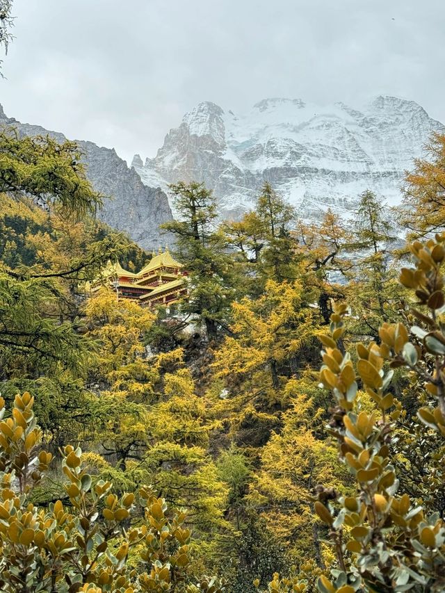 5日暢遊成都-稻城-康定 玩轉川西美景