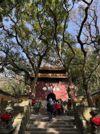 法雨寺頭小遊記