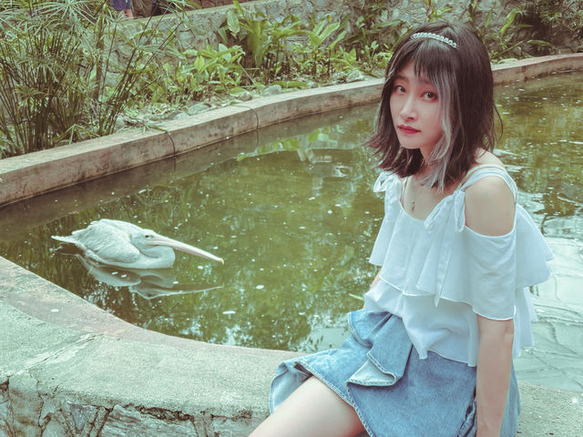 吉隆坡48小時 | 垂直森林與煙火人間
