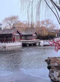 春節讀紅樓遊大觀園  體會古典文學藝術