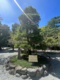 春節玩轉日本8天 超詳細行程攻略