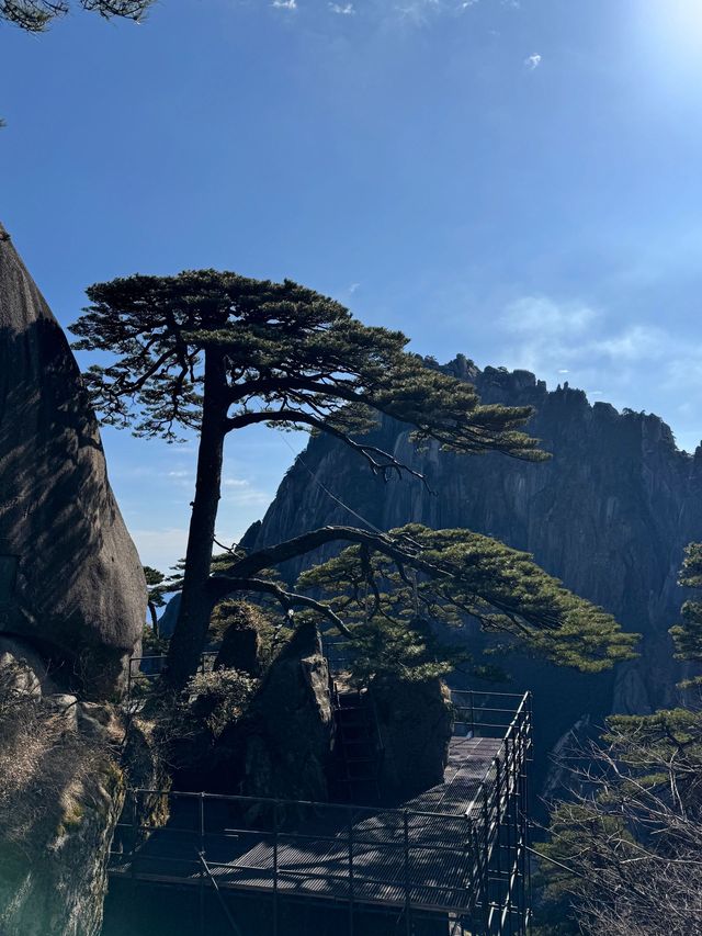 2日暢遊千島湖-黃山 超詳細攻略助你玩轉雙城