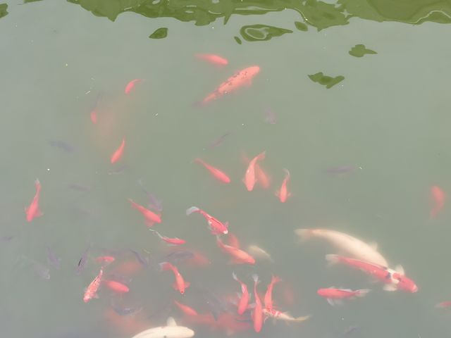 九華山——大願文化園