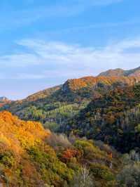 三天暢遊四姑娘山-魚子西超全攻略 教你玩轉熱門風景