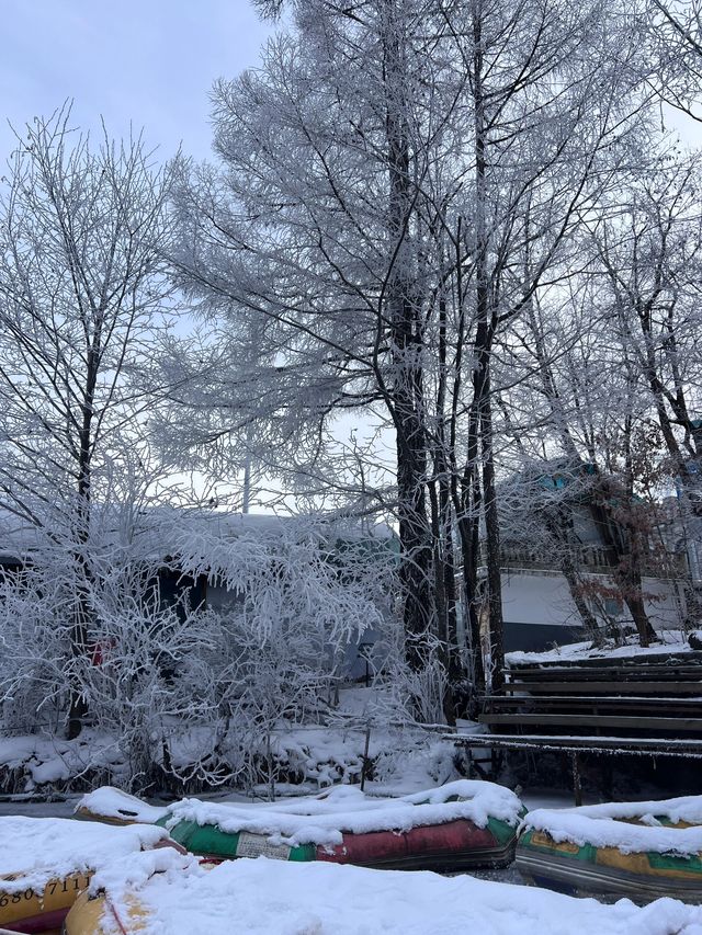 4日穿越吉林長白山西坡等地旅行指南讓你愛上這座城