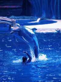 2025最新舟山長喬海洋&雨林動物公園攻略