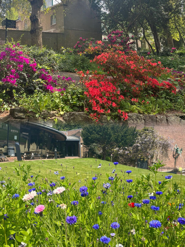 立春在全英最美大學，種下屬於你的希望