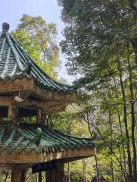 賀州-桂林探秘 走進森林的治癒之旅