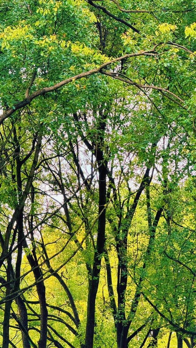 遇見不一樣的「花溪」！