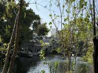 梁園結良緣，在佛山逛園子迎接春天