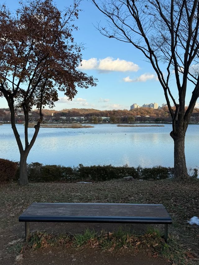 韓國河南市遊玩攻略｜首爾周邊冷門小城の鬆弛感玩法