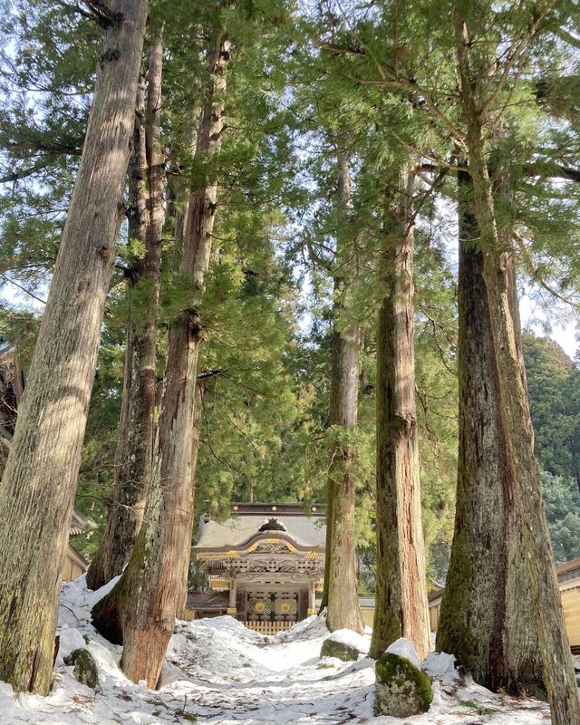 永平寺：一場穿越時光嘅禪意修行