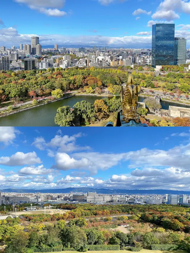 일본 7일 여행 진정한 온천 체험을 놓치지 마세요
