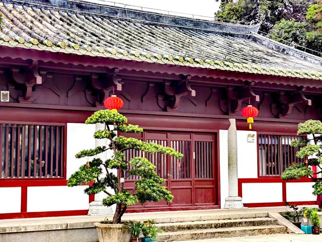 又是一樹黃花