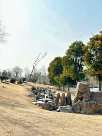 週末遛娃好去處｜永城日月湖公園！
