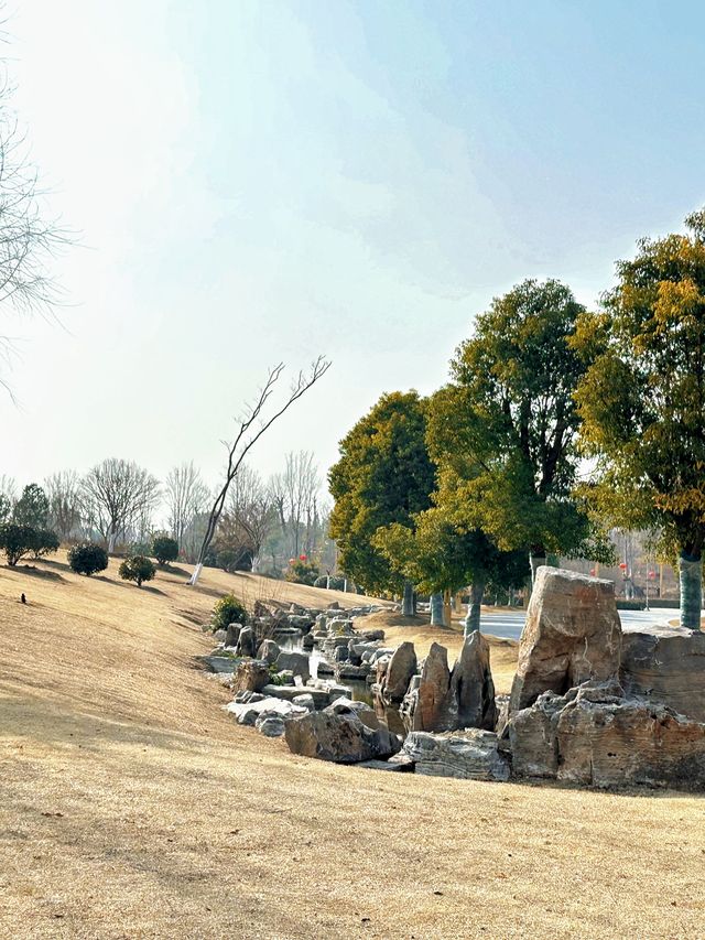 週末遛娃好去處｜永城日月湖公園！