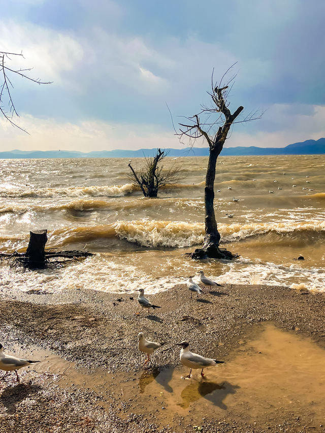 撈魚河濕地公園生存指南：如何完美仆街！
