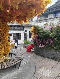 上海必到打卡地：川沙古鎮，魔都江南水鄉！