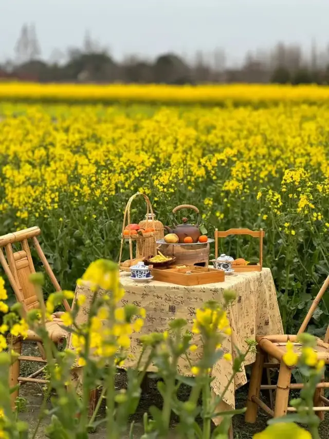 The 2025 Nanchang rapeseed flower fields are about to bloom! Come and check in!