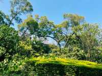 深圳南山區著名景點：中山公園，適合拍照打卡觀光旅遊。 