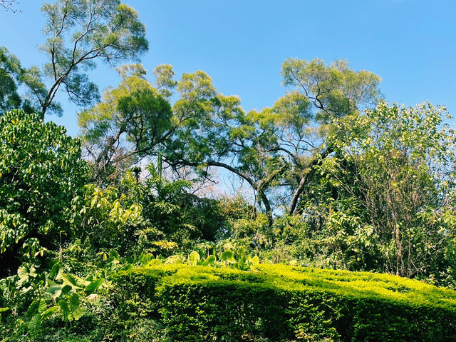 深圳南山區著名景點：中山公園，適合拍照打卡觀光旅遊。 